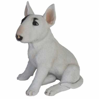 Tuinbeeld bull terrier hond 34 cm tuinbeeldje