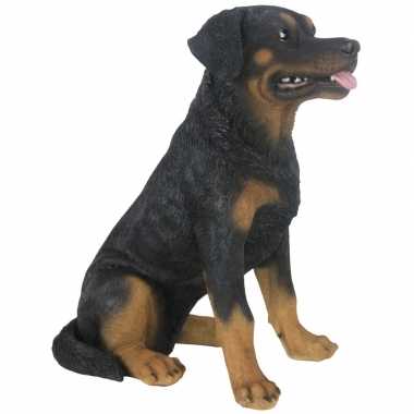 Tuinbeeld rottweiler hond 49 cm tuinbeeldje