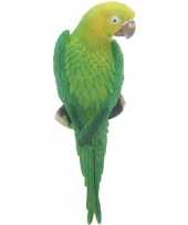 Dierenbeeld groene ara papegaai vogel 31 cm tuinbeeld hangdeco tuinbeeldje