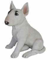 Tuinbeeld bull terrier hond 34 cm tuinbeeldje