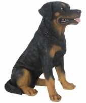 Tuinbeeld rottweiler hond 49 cm tuinbeeldje